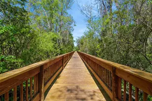 192 Modesto Dr, Saint Augustine, FL 32086 - Photo 48