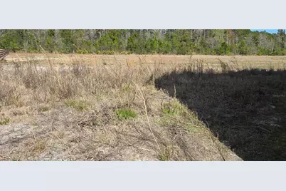 110 Opossum Lane, Bunnell, FL 32110 - Photo 50