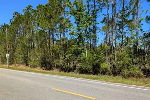 4914 Mahogany Blvd, Bunnell, FL 32110 - Photo 1