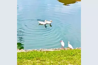 6 Salisbury Court #6, Palm Coast, FL 32137 - Photo 52