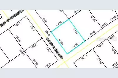 1 Burning View Lane, Palm Coast, FL 32137 - Photo 2