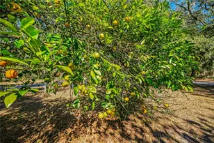 2950 Kings Rd, Saint Augustine, FL 32086 - Photo 60