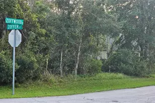 1 Zoffwood Ct, Palm Coast, FL 32164 - Photo 1