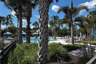 12122 Blue Pacific Dr, Riverview, FL 33579 - Photo 24