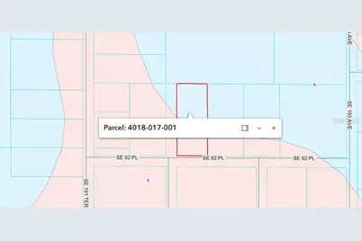 Se 92 Place, Ocklawaha, FL 32179 - Photo 4