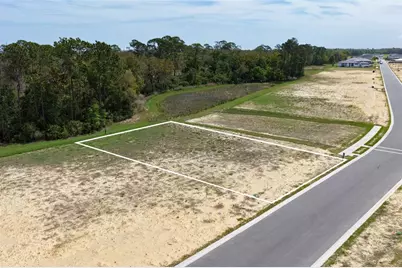 222 Stillwater Drive, Flagler Beach, FL 32136 - Photo 6