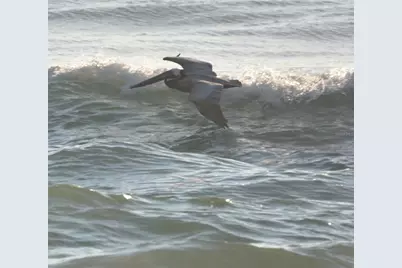 800 Cinnamon Beach Way #742, Palm Coast, FL 32137 - Photo 40