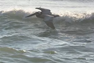 800 Cinnamon Beach Way, Palm Coast, FL 32137 - Photo 40