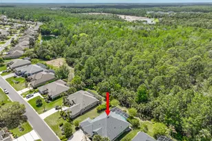 1029 Stone Lake Dr, Ormond Beach, FL 32174 - Photo 56