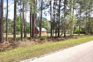 4442 Clove Ave, Bunnell, FL 32110 - Photo 18