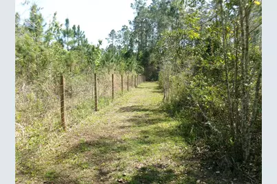 10220 Crotty Avenue, Hastings, FL 32145 - Photo 6