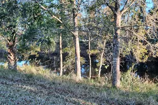 58 Burning Bush Dr, Palm Coast, FL 32137 - Photo 16