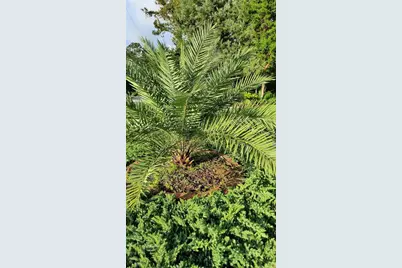 58 Burning Bush Drive, Palm Coast, FL 32137 - Photo 92