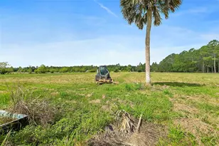 235 Quarter Horse Ln, Bunnell, FL 32110 - Photo 24