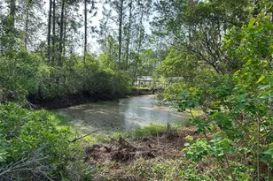1583 Beech Blvd, Bunnell, FL 32110 - Photo 4