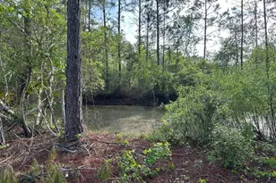 1583 Beech Blvd, Bunnell, FL 32110 - Photo 6