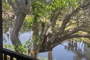 19 River Landing Dr, Palm Coast, FL 32137 - Photo 18