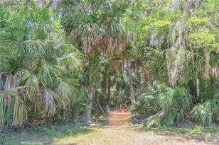 1200 Canopy Walk Ln, Palm Coast, FL 32137 - Photo 34