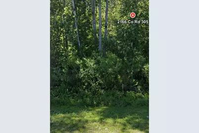 2166 Cr-305, Bunnell, FL 32110 - Photo 1