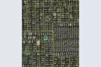 4062 Walnut Avenue, Bunnell, FL 32110 - Photo 2