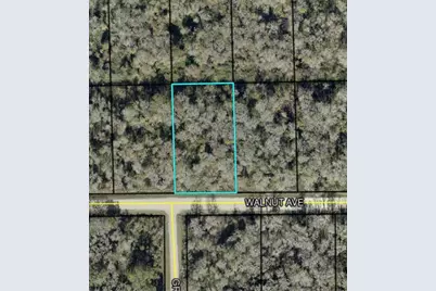 4062 Walnut Avenue, Bunnell, FL 32110 - Photo 4