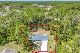 18 Reid Pl, Palm Coast, FL 32164 - Photo 8