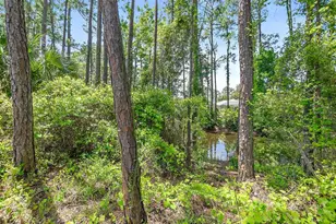 18 Reid Pl, Palm Coast, FL 32164 - Photo 46