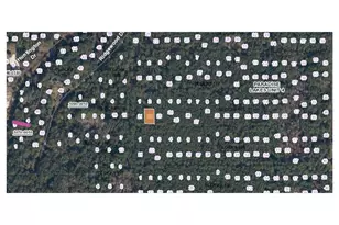 302 Siesta Dr, Georgetown, FL 32139 - Photo 1