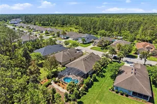 124 S Hummingbird Pl, Palm Coast, FL 32164 - Photo 42