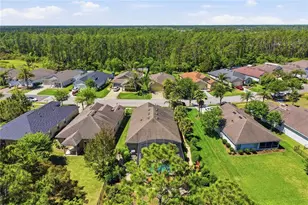 124 S Hummingbird Pl, Palm Coast, FL 32164 - Photo 34