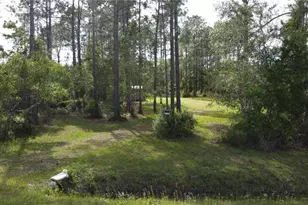 10205 Baylor Ave, Hastings, FL 32145 - Photo 1