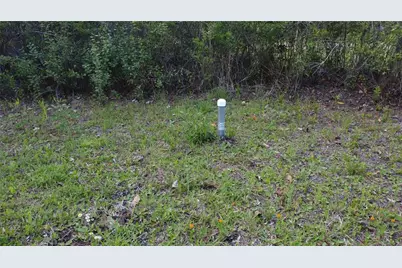 10205 Baylor Avenue, Hastings, FL 32145 - Photo 12