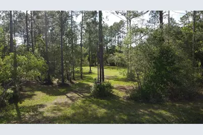 10205 Baylor Avenue, Hastings, FL 32145 - Photo 2