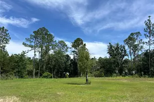 4281 Evergreen Ave, Bunnell, FL 32110 - Photo 28