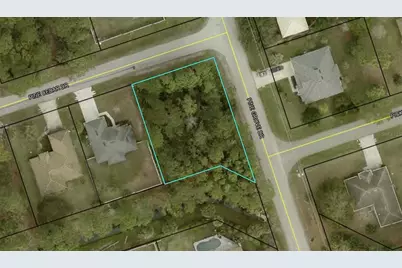 60 Pine Cedar Drive, Palm Coast, FL 32164 - Photo 1