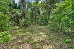1806 Glenwood Oaks Ln, Deland, FL 32720 - Photo 64