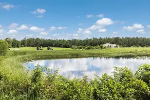 14 Divot Pl, Bunnell, FL 32110 - Photo 34