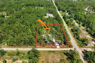 10570 Delgado Ave, Hastings, FL 32145 - Photo 2