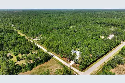 10570 Delgado Avenue, Hastings, FL 32145 - Photo 60