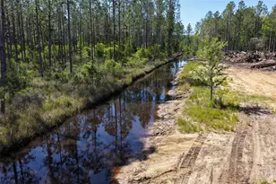 15539 Co Rd 305, Bunnell, FL 32110 - Photo 60