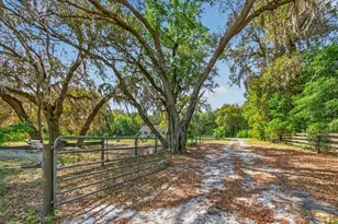 461 Old Starke Rd, Palatka, FL 32177 - Photo 6