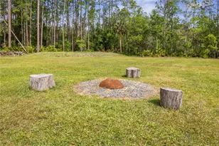 1688 Papaya St, Bunnell, FL 32110 - Photo 44