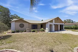 8081 Pagoda Dr, Spring Hill, FL 34606 - Photo 64
