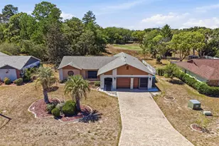 8081 Pagoda Dr, Spring Hill, FL 34606 - Photo 4