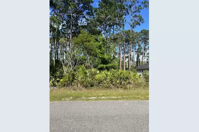 153 Ullian Trail, Palm Coast, FL 32164 - Photo 1