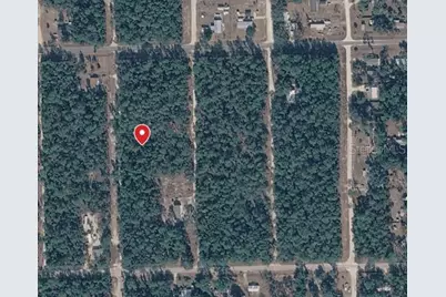410 Quail Hollow Road, Satsuma, FL 32189 - Photo 2