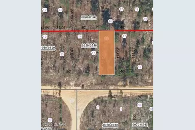 156 1st Avenue, Interlachen, FL 32148 - Photo 2