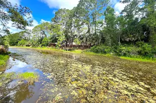 47 Pheasant Dr, Palm Coast, FL 32164 - Photo 64