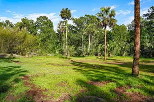 6381 Cherry Ln, Bunnell, FL 32110 - Photo 56