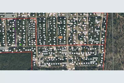 416 Incline Road, Satsuma, FL 32189 - Photo 2
